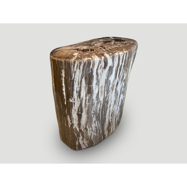 Andrianna Shamaris Ancient Petrified Wood Side Table For Sale In New York - Image 6 of 6