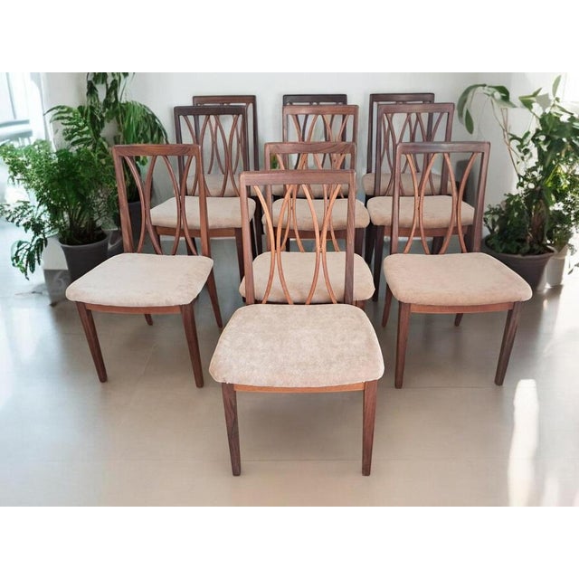 Transform your dining space with this exquisite set of ten Mid-Century G Plan vintage dining chairs , impeccably preserved...