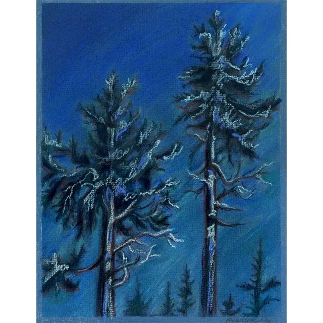 Plein air nocturne landscape pastel painting of majestic fir trees. A variety of rich blue and green colors drawn with...