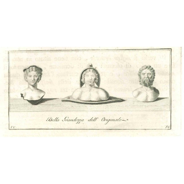 Ancient roman busts, from the series "antiquities of herculaneum", is an original etching on paper realized by anonymous...