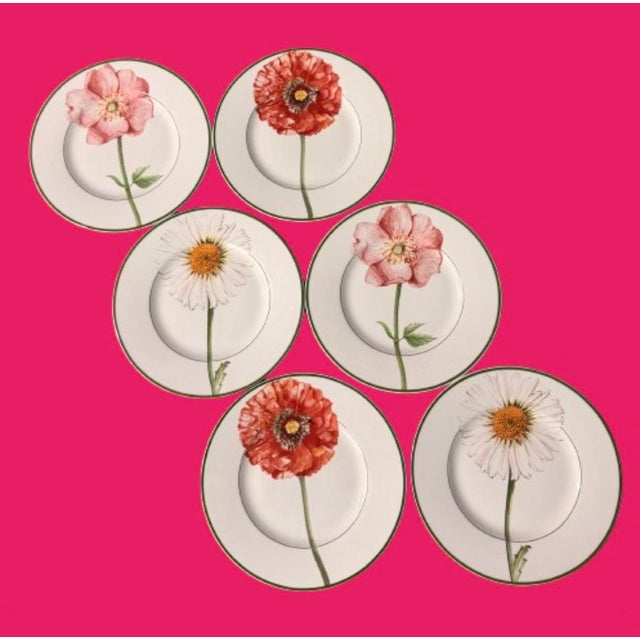 6 Flora by Villeroy & Boch Lunch Plates For Sale In Miami - Image 6 of 8