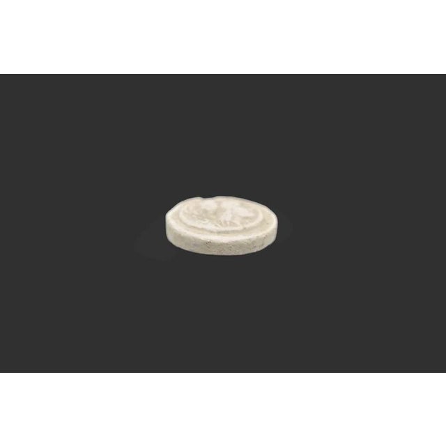 Antique Athena Goddess Cameo Intaglio in Biscuit, Italy, 19th Century For Sale - Image 3 of 5