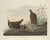 American Vintage Reproductions 1966 John James Audubon Bird Prints Featuring Owls - Collection of 4 For Sale - Image 3 of 9
