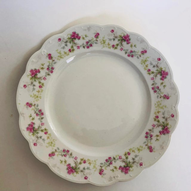 Vintage Austria Porcelain Plate For Sale In New York - Image 6 of 6