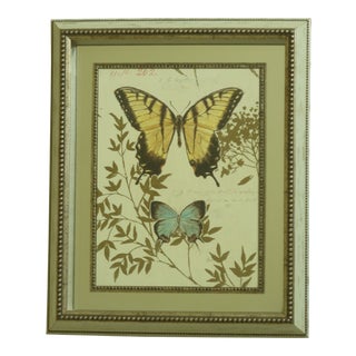 Mirror Back Shadow Box Framed Butterfly Print For Sale