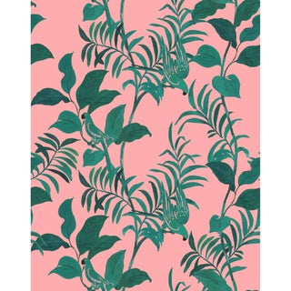 Sample - Tropical Birds Wallpaper by Paule Marrot in Pink and Green For Sale