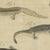 Bertuch, Lizards and Newts, Eight Species, 1805, Print For Sale - Image 9 of 12