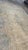 Traditional Mid-20th Century Antique Kerman Wool Rug For Sale - Image 3 of 14