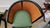 Bernhardt Pair of Barrel Accent Chairs by Bernhardt For Sale - Image 4 of 13