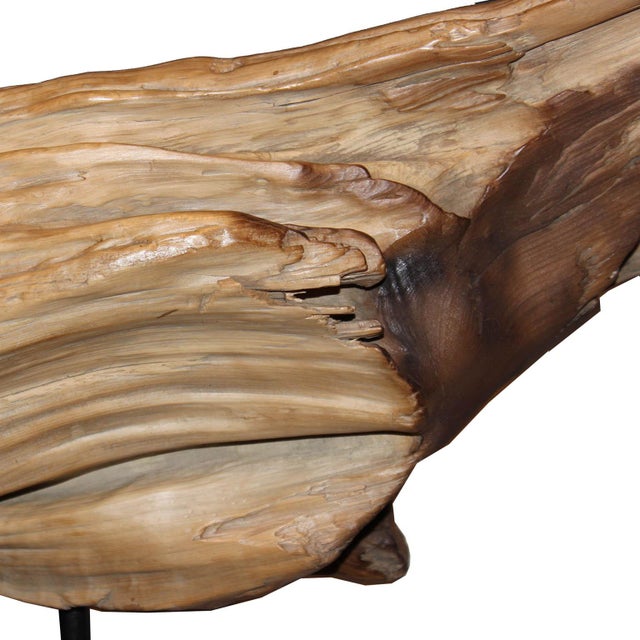 Decorative Driftwood Fragment On Stand Chairish