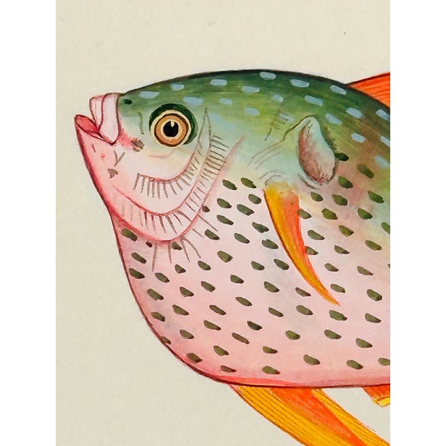 Original Hand-Painted Rainbow-Colored Fish Painting, Framed For Sale - Image 4 of 5