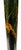Ebony Antique Chinese Export Chinoiserie Floor Lamp for the English Market For Sale - Image 8 of 17