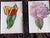 Late 19th Century Antique 19th Century Edward Hulme Botanical "Garden Flowers" Lithographs - Set of 12 - Super Price! For Sale - Image 5 of 9