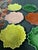 1940s Steubenville Woodfield Collection Leaf Plate Variety by Russel Wright-Set of 8 For Sale In Houston - Image 6 of 11