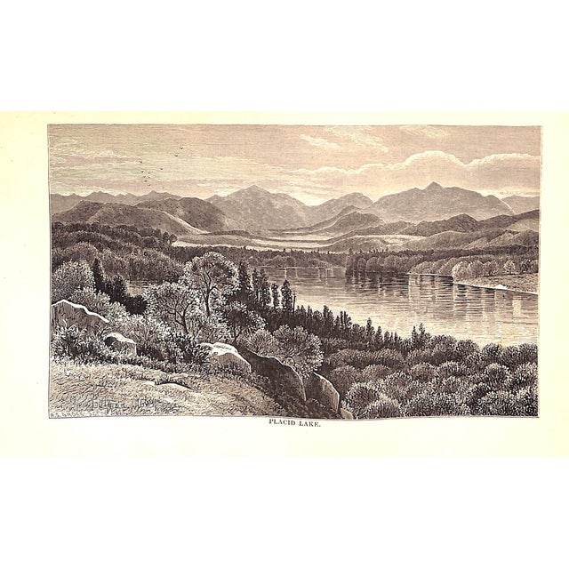 White "The Modern Babes in the Wood or Summerings in the Wilderness; To Which Is Added a Reliable and Descriptive Guide to the Adirondacks." Wallace, e.r. For Sale - Image 8 of 11