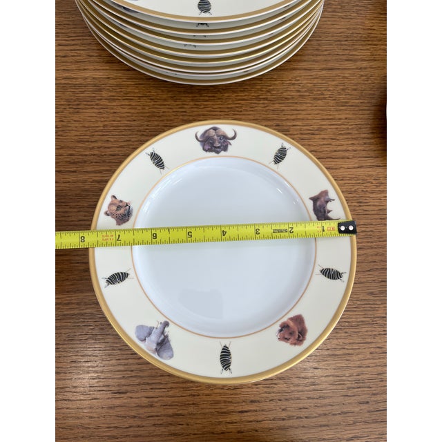 African 1980s African Big 5, 8 Place Setting Dinner Ware With Extras - 57 pcs For Sale - Image 3 of 12