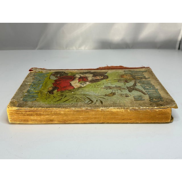 Antique Alice in Wonderland Book: Illustrated 1800s Edition For Sale - Image 4 of 10