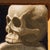 Double Talk by Shawn Sullivan | Oil Painting of a bird in front of stacked skulls For Sale - Image 4 of 5