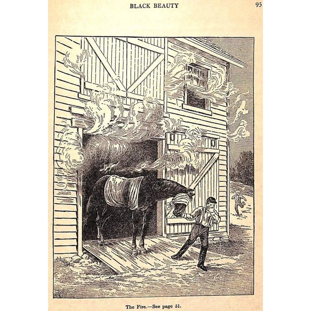 "Black Beauty: The Autobiography of a Horse" 1929 Sewell, Anna For Sale - Image 9 of 13