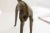 African Vintage African Antelope Sculpture For Sale - Image 3 of 7