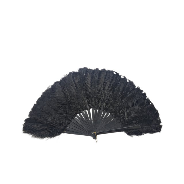 Art Deco Polish Autriche Feather Fan, 1920s For Sale - Image 16 of 16