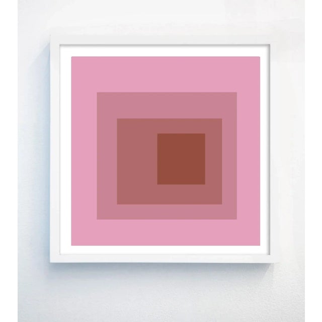 DDE Studio Abstract Geometric Color Study in Warm Pinks - Set of 4 20" X 20" For Sale - Image 4 of 7