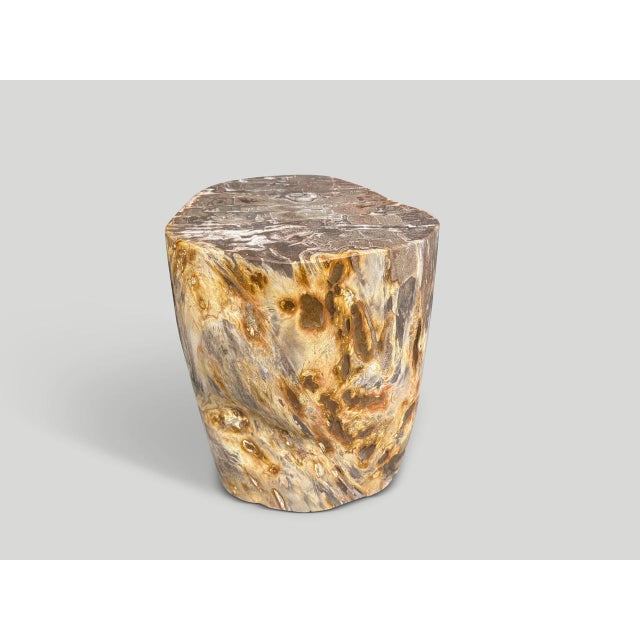 Impressive rare coral tone high quality petrified wood side table. It’s fascinating how Mother Nature produces these...