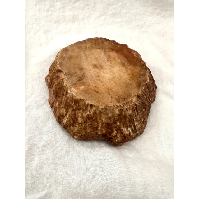 Vintage ＊ petrified wood tray Polished Petrified Wood Trinket Dish – PHYLA VINTAGE