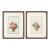 Pair of Chinese Botanical Paintings by Sunqua, C. 1800-50 For Sale