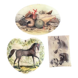 21st Century John Derian Decoupage Trays - Set of 3 For Sale