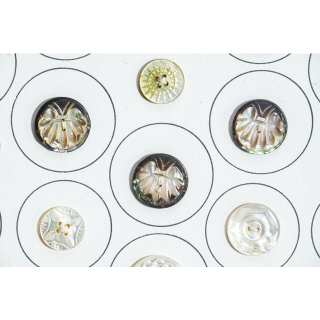 Fascinating Collection of Framed Mother of Pearl Antique Buttons Clothing Fashion For Sale - Image 4 of 14