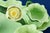Art Nouveau Strawberry Service in Vitrified Majolica by George Jones, England, 1882, Set of 5 For Sale - Image 10 of 18