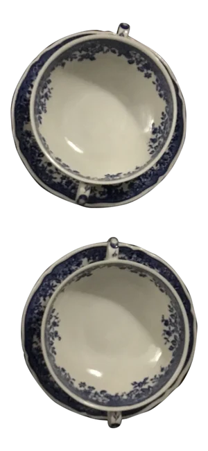 1970s Villeroy & Boch Transfer Ware Soup and Saucers - a Pair