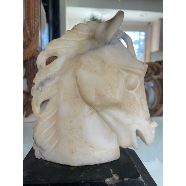 Late 20th Century Italian Marble Stone Horse Head Sculpture For Sale In Chicago - Image 6 of 10