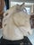 Late 20th Century Italian Marble Stone Horse Head Sculpture For Sale In Chicago - Image 6 of 10