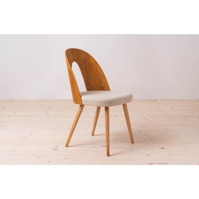 Mid-Century Dining Chairs attributed to A. Suman, 1960s, Set of 10 For Sale - Image 10 of 18