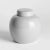 In an unexpected smaller size for traditional ginger jars, this is a modern take on a classic. The bright white high gloss...