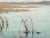 Théodore Lemonnier 1815-1888 Signed French Oil - River Marshes - Organic Modern For Sale - Image 9 of 17