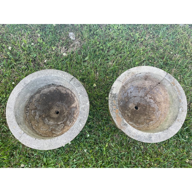 Mid 20th Century Pair of Mid-Century Cast Stone Tulip Urns - Egg & Dart Rim - Charlotte Estate For Sale - Image 5 of 8