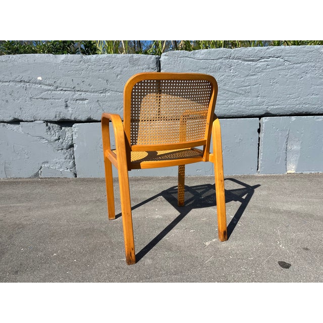 Mid-Century Modern Bentwood and Cane Arm Chair, 1960 For Sale - Image 3 of 13