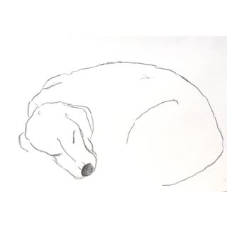 "Sleeping Beagle" Contemporary Abstract Figurative Drawing by Martha Holden For Sale