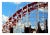 Wonderful color photograph of the roller coaster and palm trees at the Santa Cruz Boardwalk by California artist Deborah...