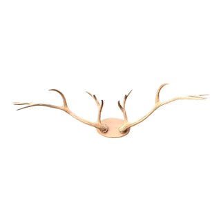 Vintage Carved Wood Antler Wall Mount For Sale