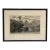 Natural Curiosities “Betel Tree” Botanical Landscape Print For Sale