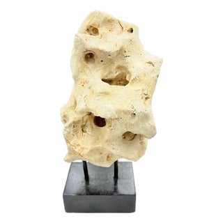 Indonesian Coral Stone On Teak Stand For Sale