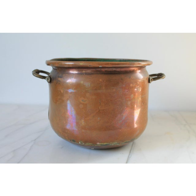 Vintage Copper Pot Planter W/ Brass Handles For Sale - Image 4 of 9