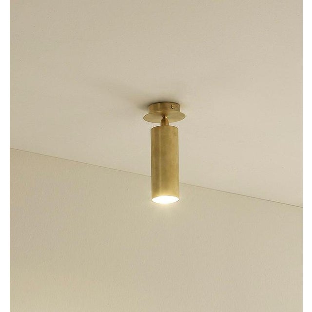 Tf501 Ceiling Lamp in Satin Brass with an Orientable Tubular Diffuser by Daluce For Sale - Image 6 of 6