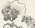 Abstract Ink Drawing by William Itter For Sale In Indianapolis - Image 6 of 8