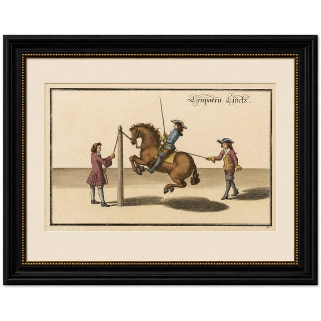 Title: Baroque Levade Horse Training Engraving after Newcastle, circa 1700 : This rare and highly decorative original...