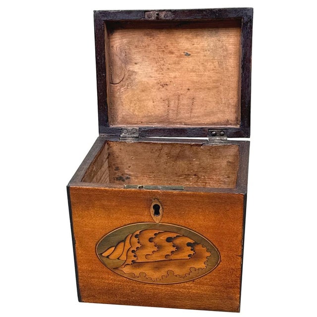 Late 18th Century Georgian Satinwood Tea Caddy Butterfly Inlay, 1790 For Sale - Image 5 of 13